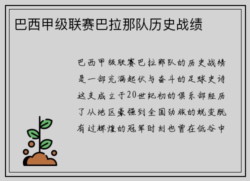 巴西甲级联赛巴拉那队历史战绩