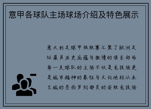 意甲各球队主场球场介绍及特色展示